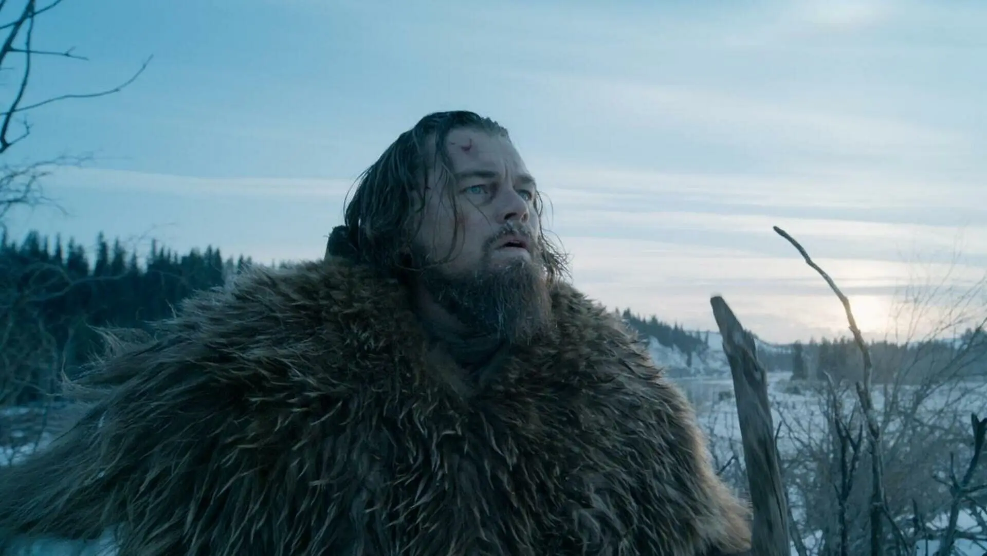 Leonardo DiCaprio stars as Hugh Glass, a father looking for revenge on the man who murdered his son.